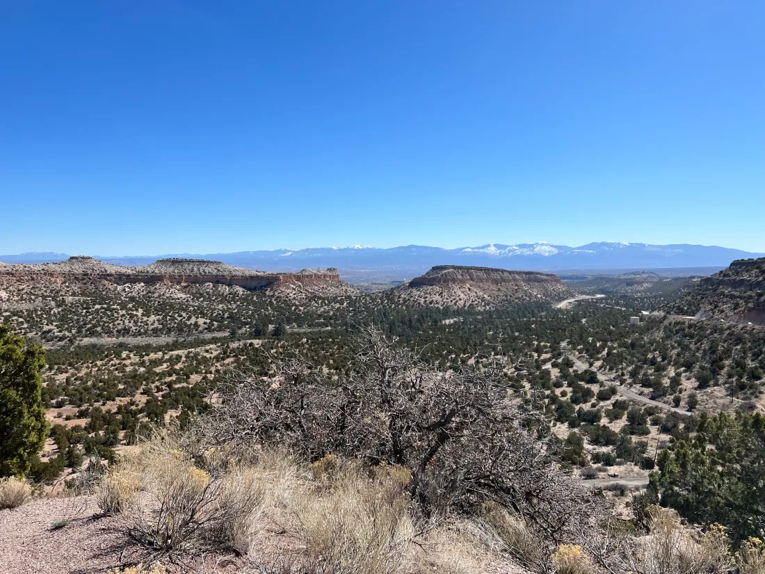 Top or Best Website Design Agencies and Companies in Los Alamos, New Mexico