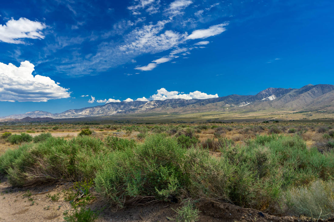 Top or Best Email Campaign Design Agencies and Companies in Artesia, New Mexico