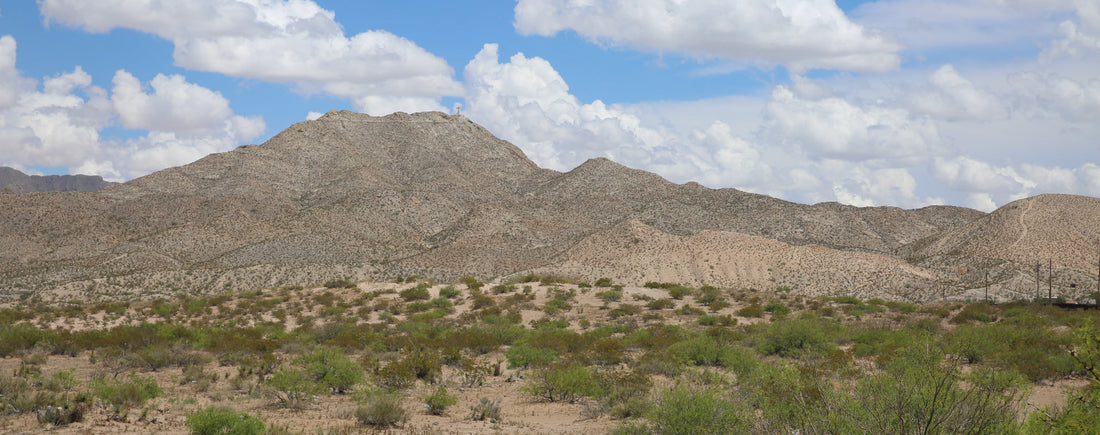 Top or Best Snapchat Management Agencies and Companies in Sunland Park, New Mexico