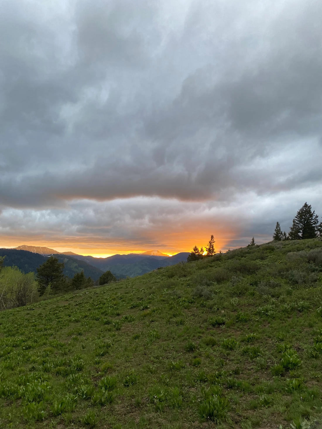 Top or Best Invitation Design agencies and Companies in Lewiston, Idaho