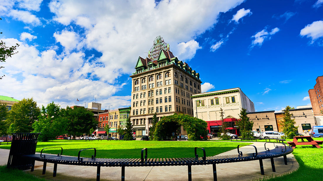 Top or Best Drawing & Illustration Agencies and Companies in Scranton, Pennsylvania