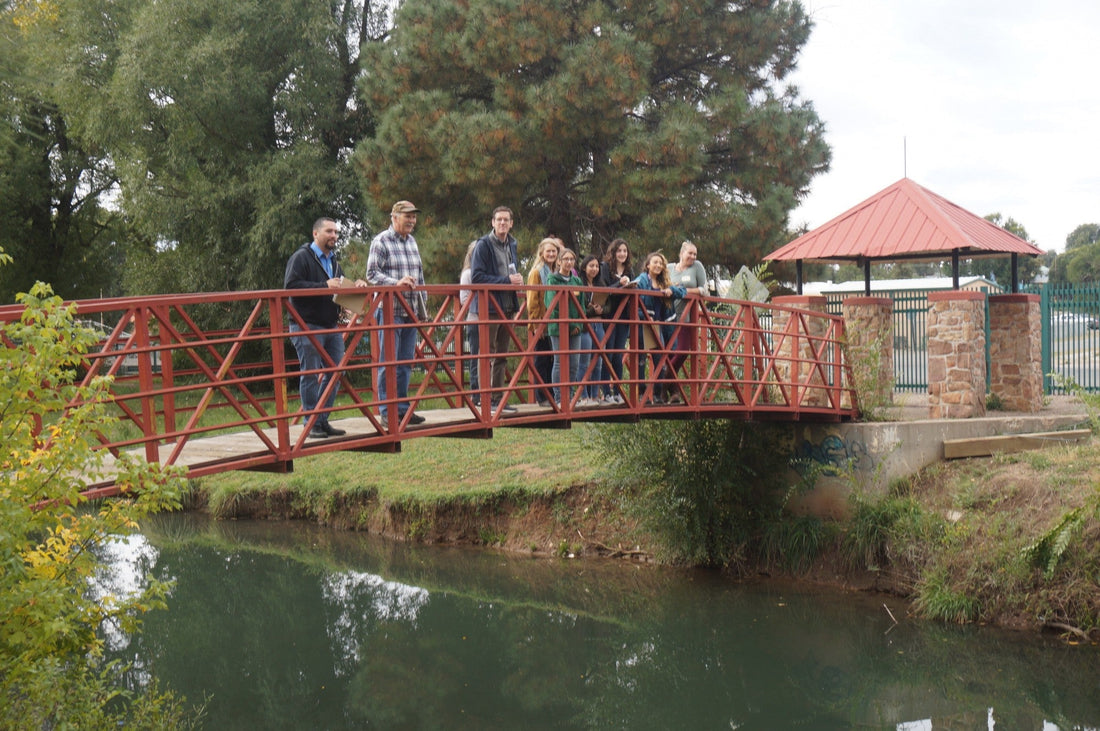 Top or Best Custom Graphics for Videos Agencies and Companies in Las Vegas, New Mexico