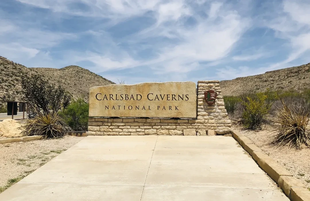 Top or Best Tattoo Design Agencies and Companies in Carlsbad, New Mexico