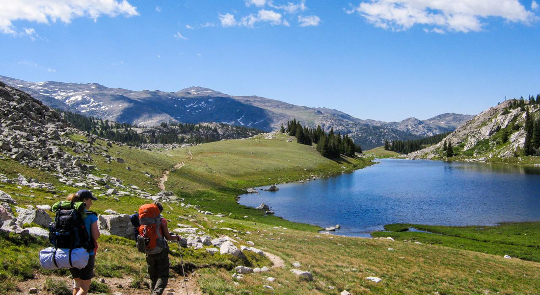 Top or Best Cartoons & Comics Agencies and Companies in Sheridan, Wyoming