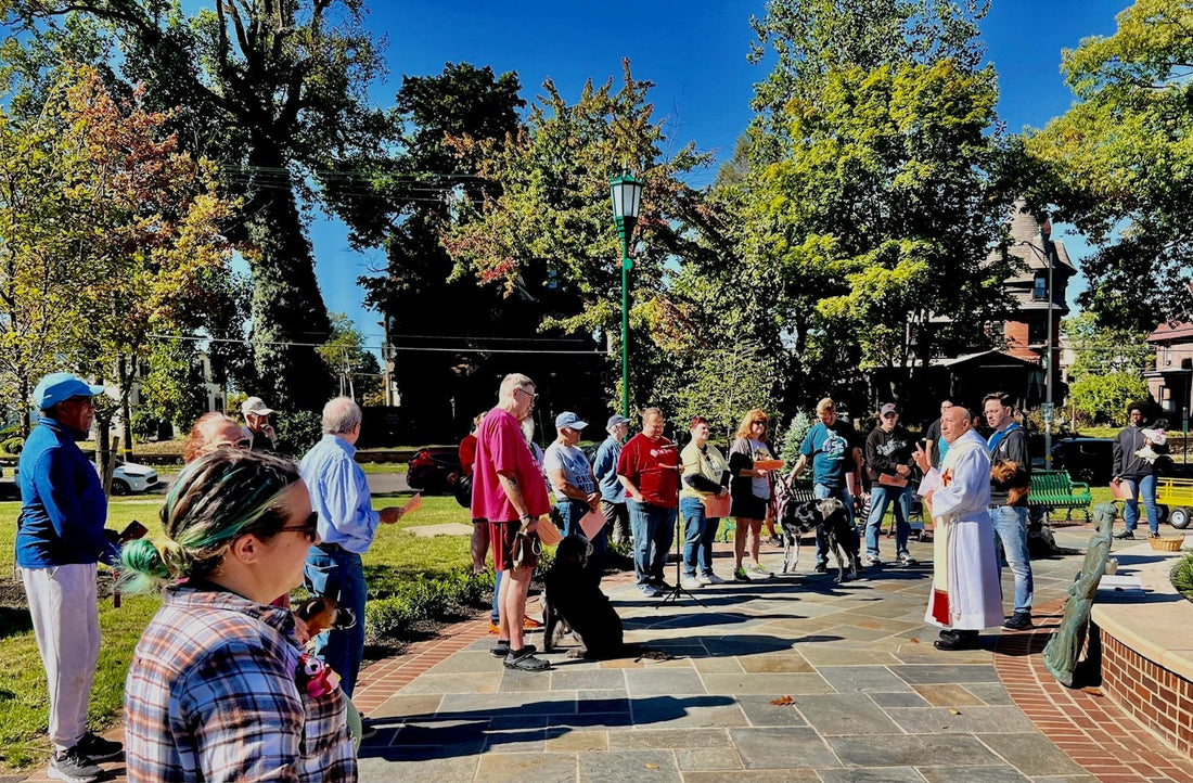 Top or Best Video Editing Agencies and Companies in Reading, Pennsylvania