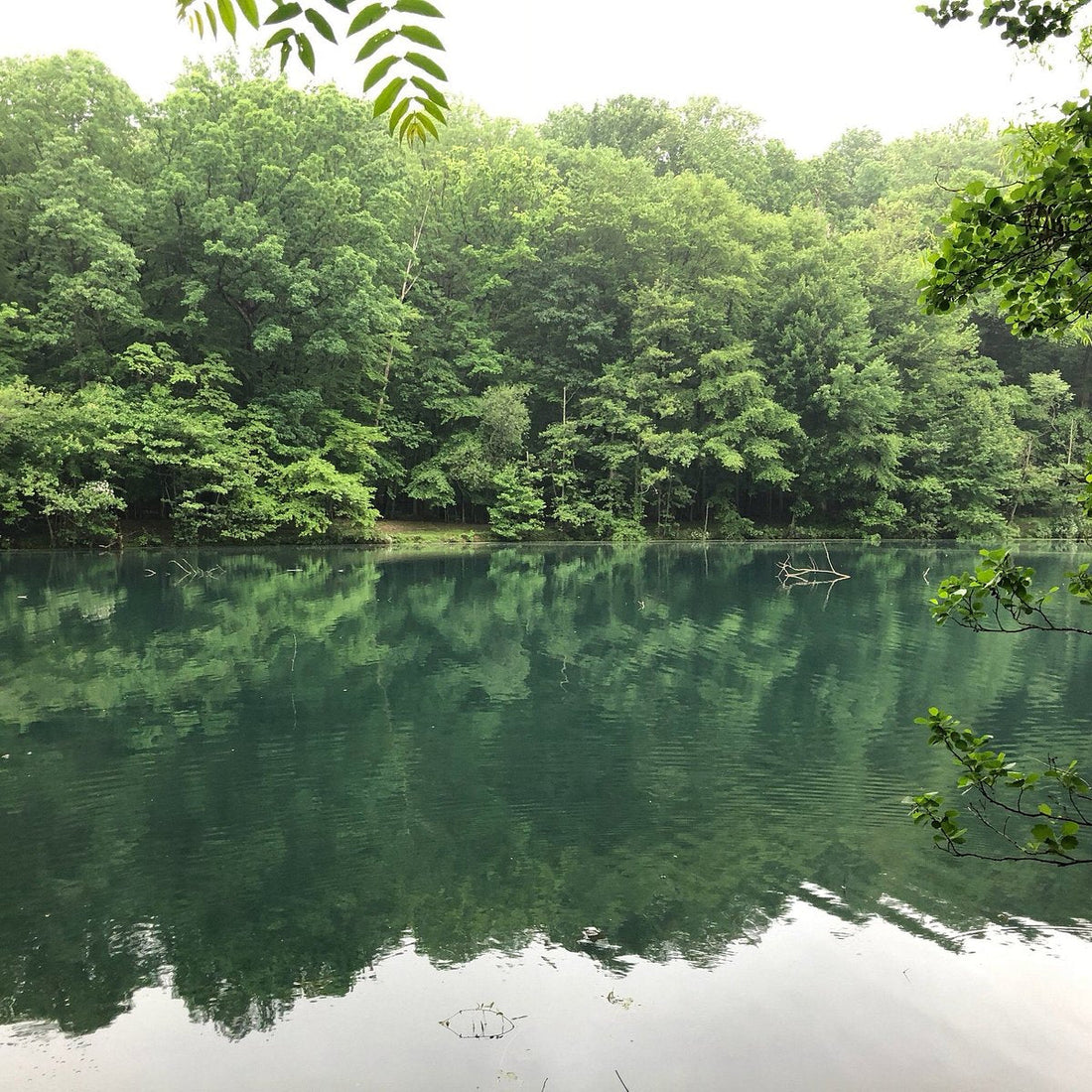 Top or Best Instagram Management Agencies and Companies in Abington, Pennsylvania