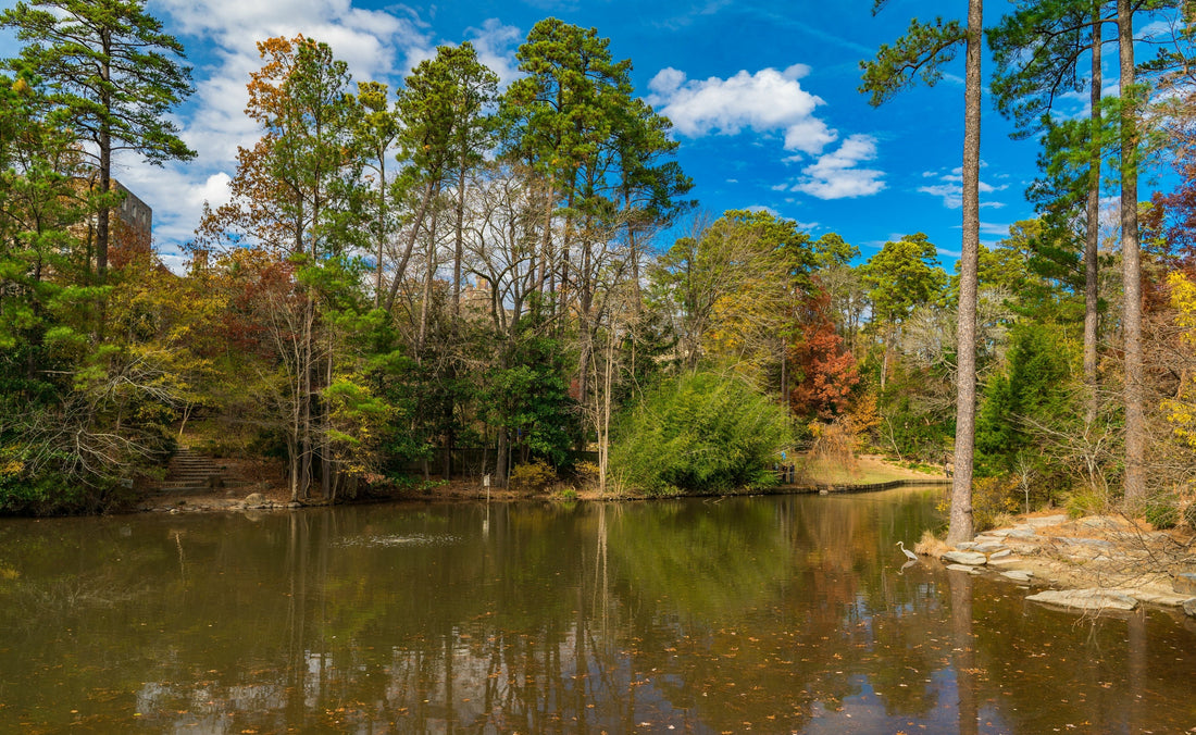 Top or Best Storyboards Agencies and Companies in Wake Forest, North Carolina