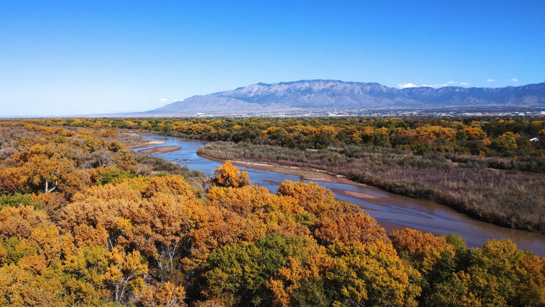 Top or Best Storyboards Agencies and Companies in Chaparral, New Mexico