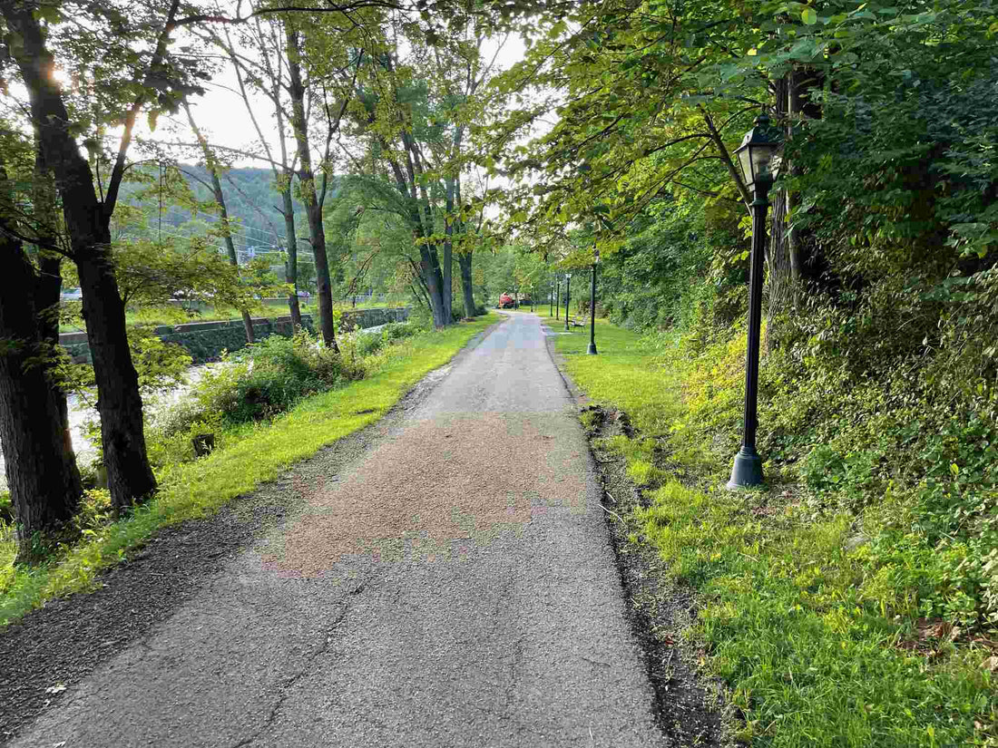 Top or Best Graphic Design Agencies and Companies in Abington, Pennsylvania