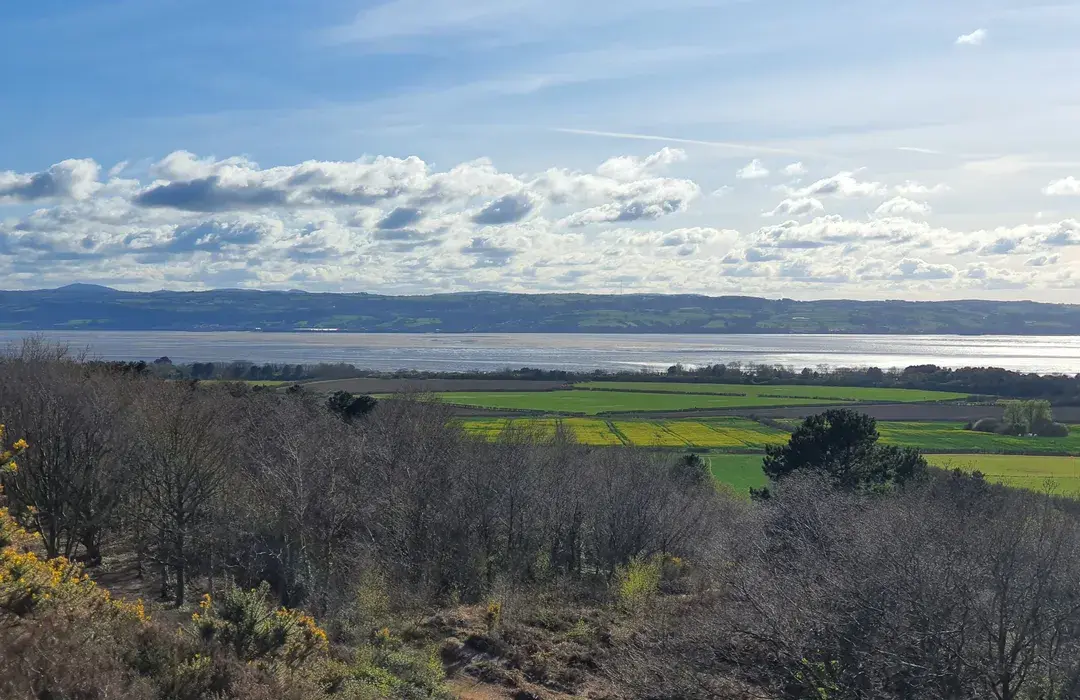 Top or Best Tattoo Design Agencies and Companies in Wirral, England