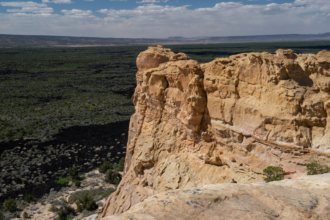 Top or Best Drawing & Illustration Agencies and Companies in Chaparral, New Mexico