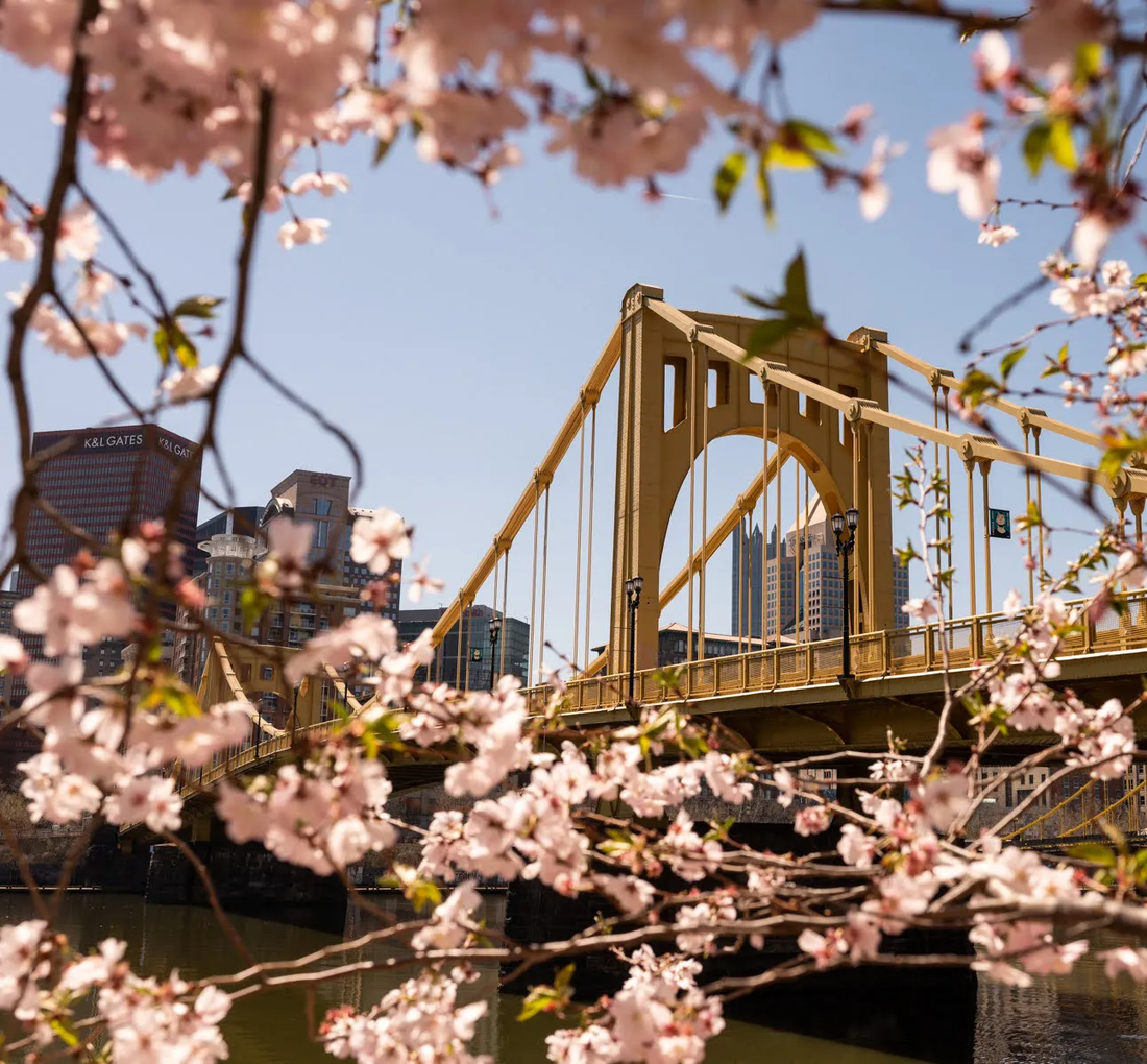 Top or Best TikTok Management Agencies and Companies in Pittsburgh, Pennsylvania