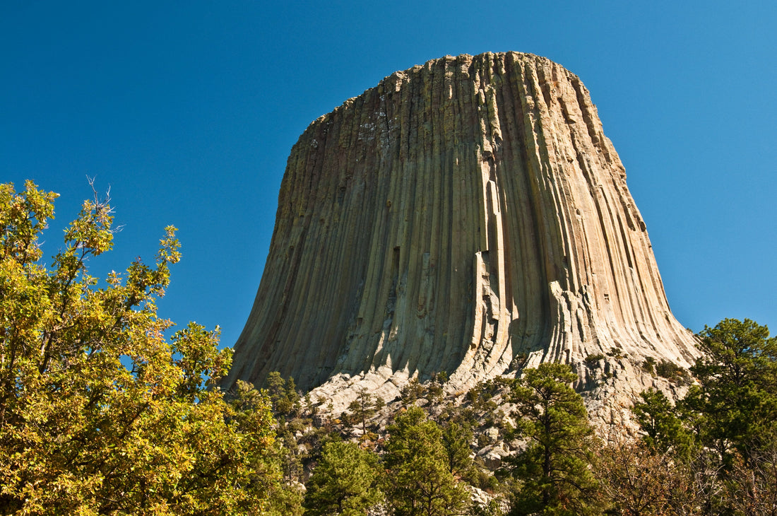 Top or Best Virtual Background Design Agencies and Companies in Douglas Wyoming