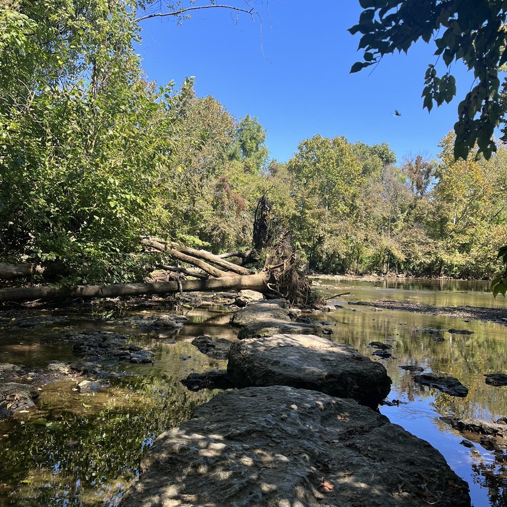 Top or Best Mural Design Agencies and Companies in Smyrna, Tennessee