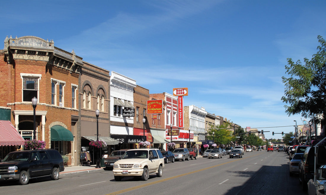 Top or Best Brochure Design Agencies and Companies in Sheridan, Wyoming