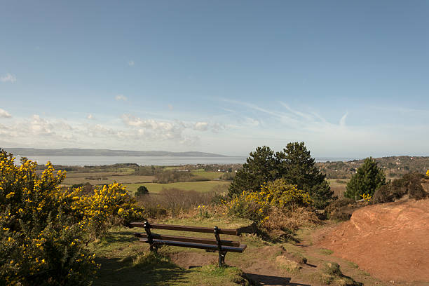 Top or Best Packaging Design Agencies and Companies in Wirral, England