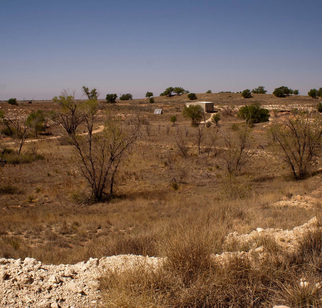 Top or Best Flyer Design Agencies and Companies in Portales, New Mexico