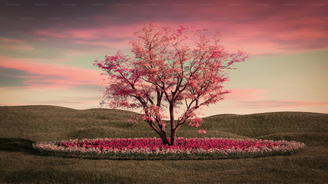 Top or Best Logo Design Agencies and Companies in Surat, India