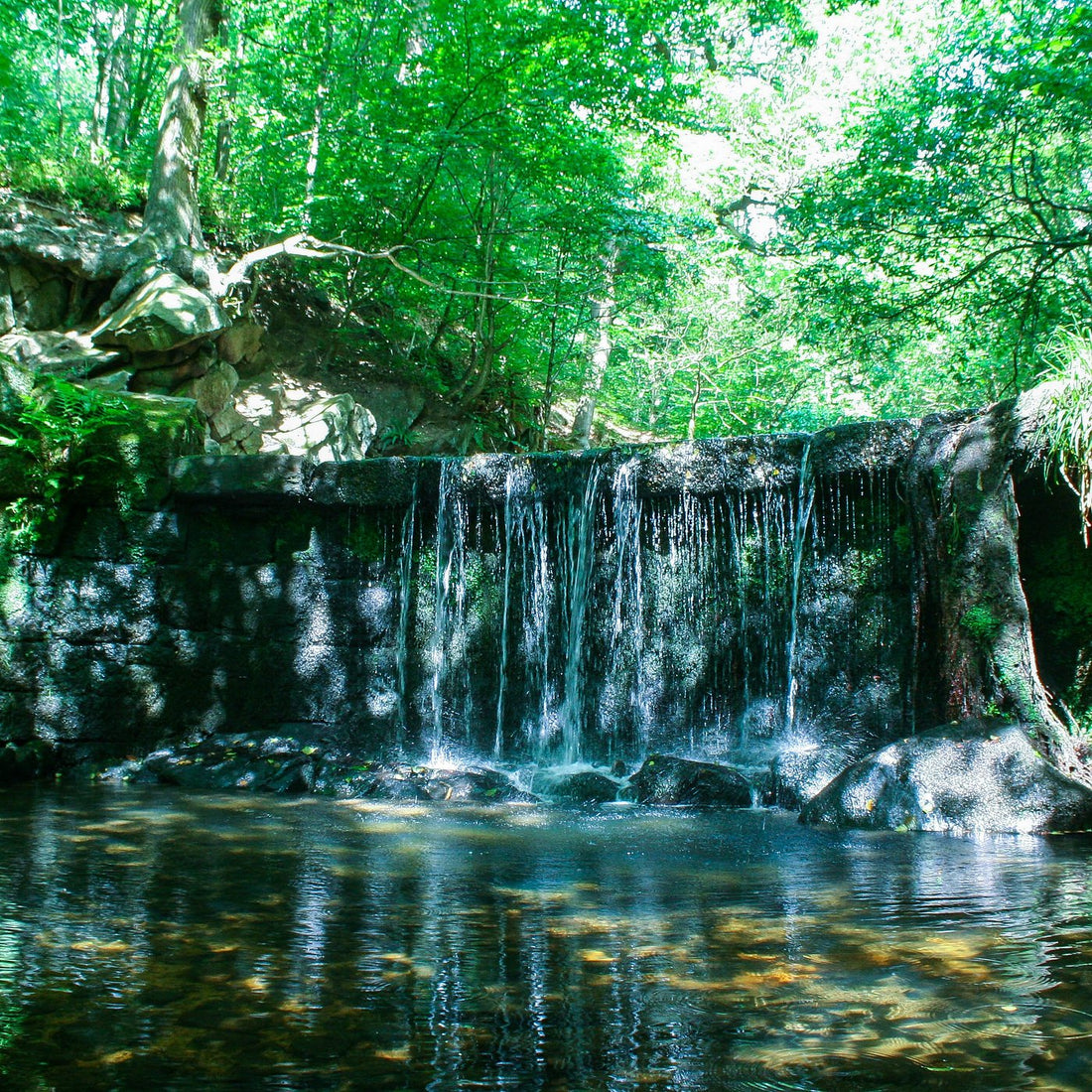 Top or Best Video Editing Subscription Agencies and Companies in Stoke-on-Trent, England