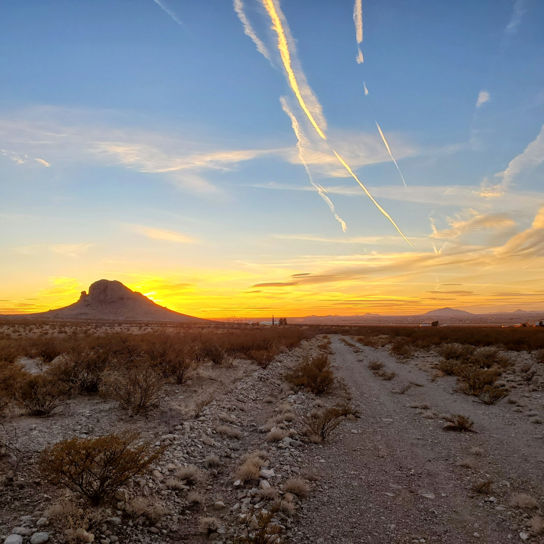 Top or Best Twitch Management Agencies and Companies in Deming, New Mexico