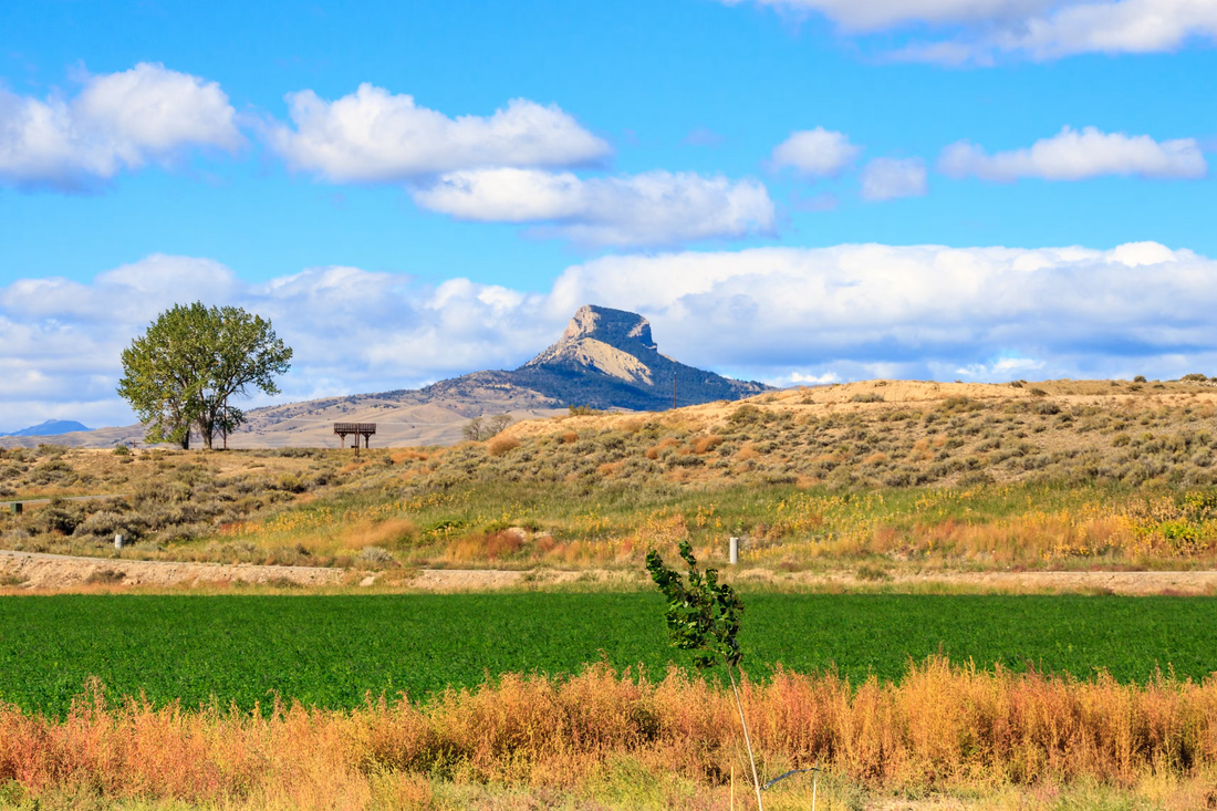 Top or Best Twitter Management Agencies and Companies in Powell Wyoming
