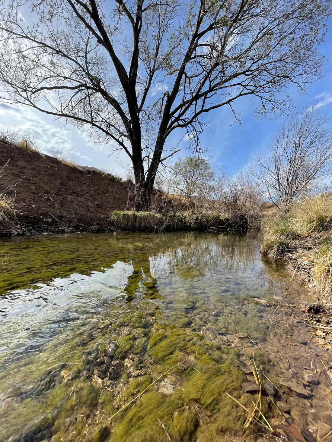 Top or Best Logo Design Agencies and Companies in Artesia, New Mexico