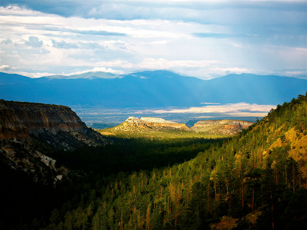 Top or Best Storyboards Agencies and Companies in Los Alamos, New Mexico