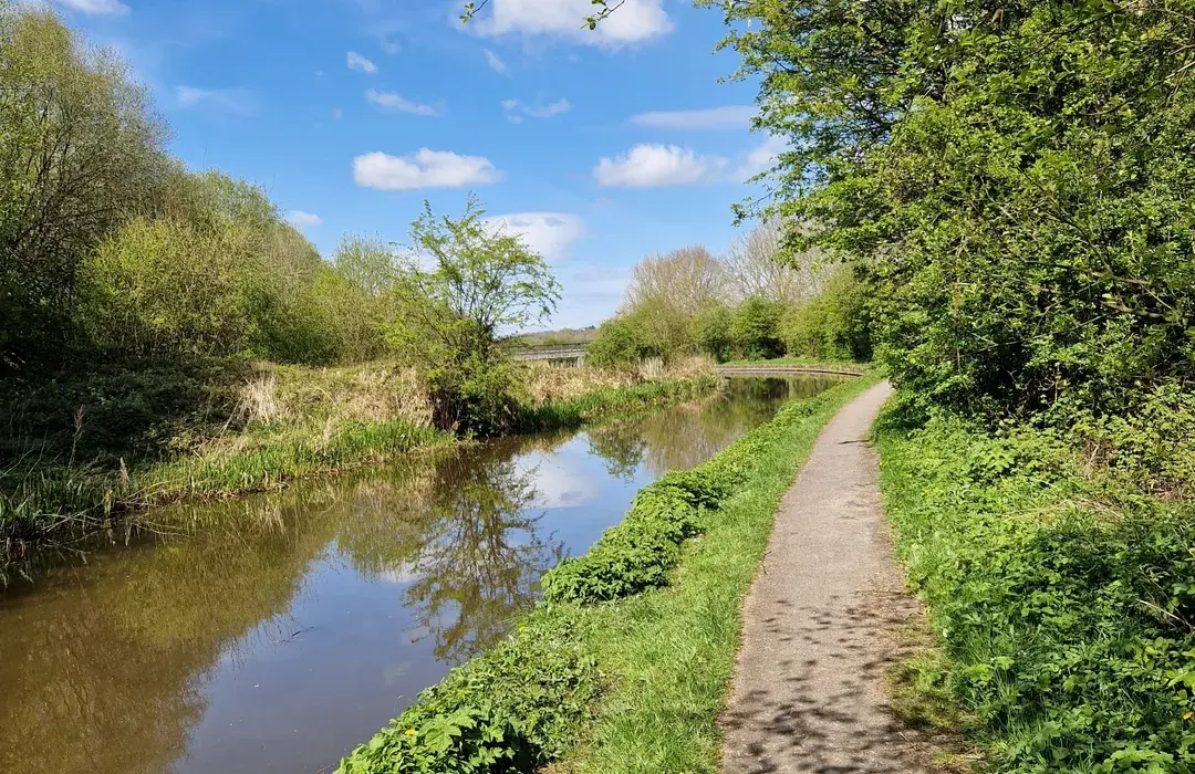 Top Or Best Drawing & Illustration Services And Companies In Stoke-on-Trent, England