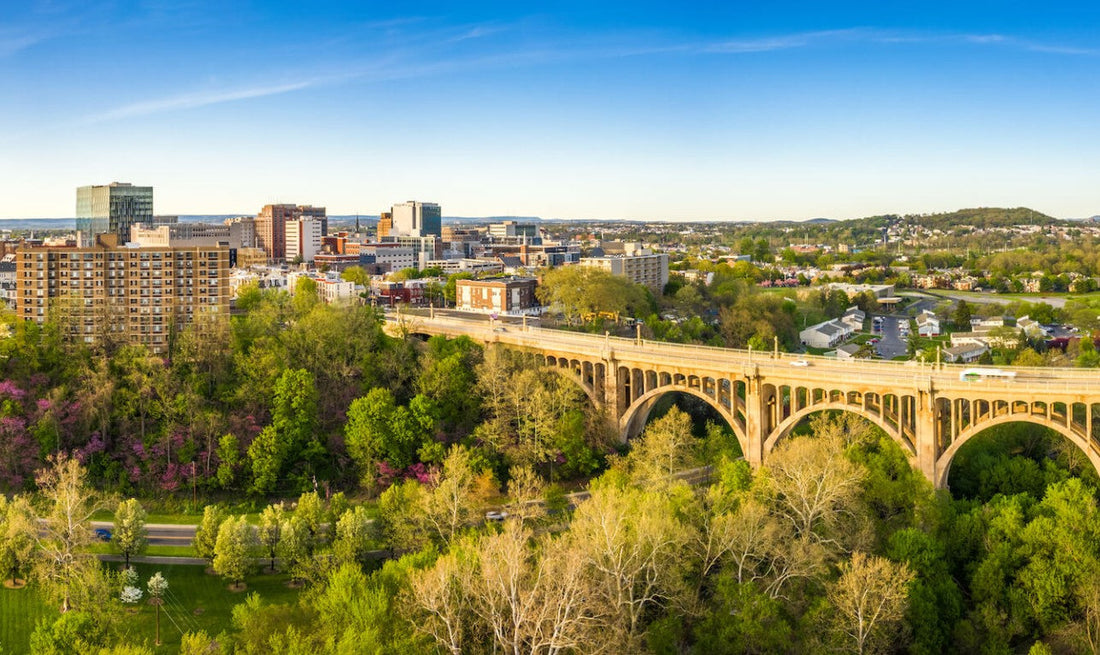 Top or Best Invitation Design Agencies and Companies in Allentown, Pennsylvania