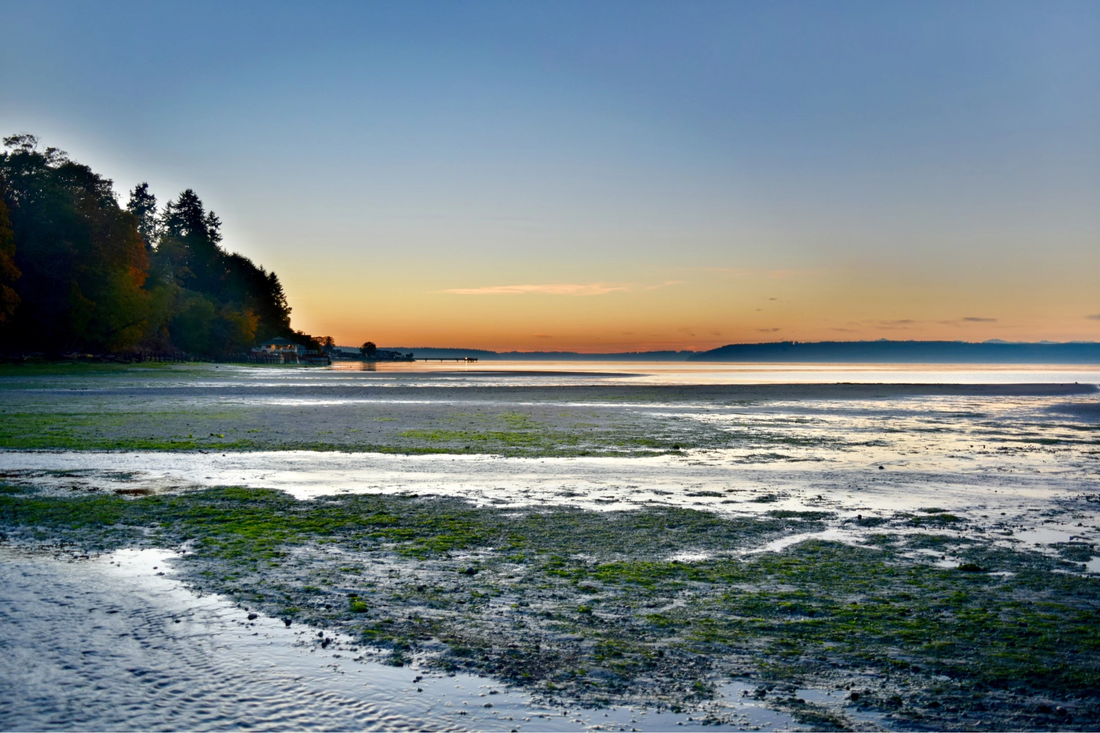 Top or Best Facebook Management Agencies and Companies in Federal Way, Washington