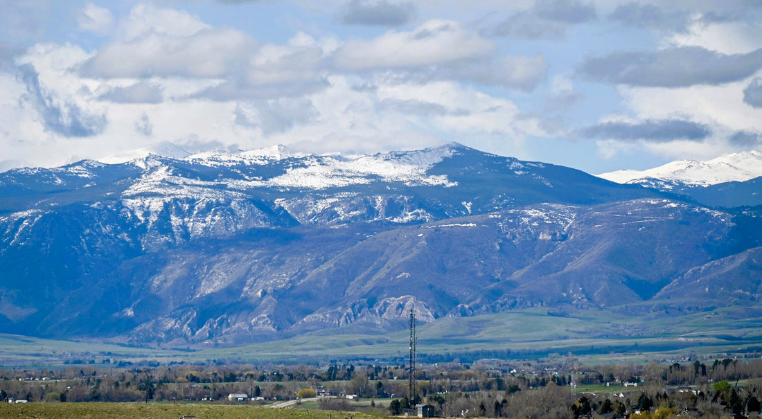 Top or Best Menu Design Agencies and Companies in Sheridan Wyoming