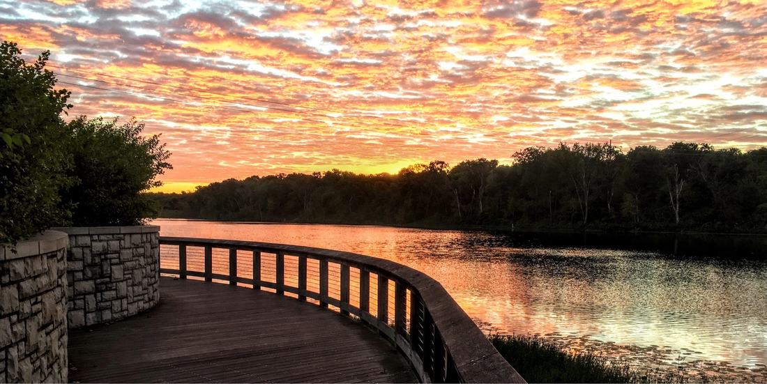 Top or Best Logo Animation Agencies and Companies in Lenexa, Kansas