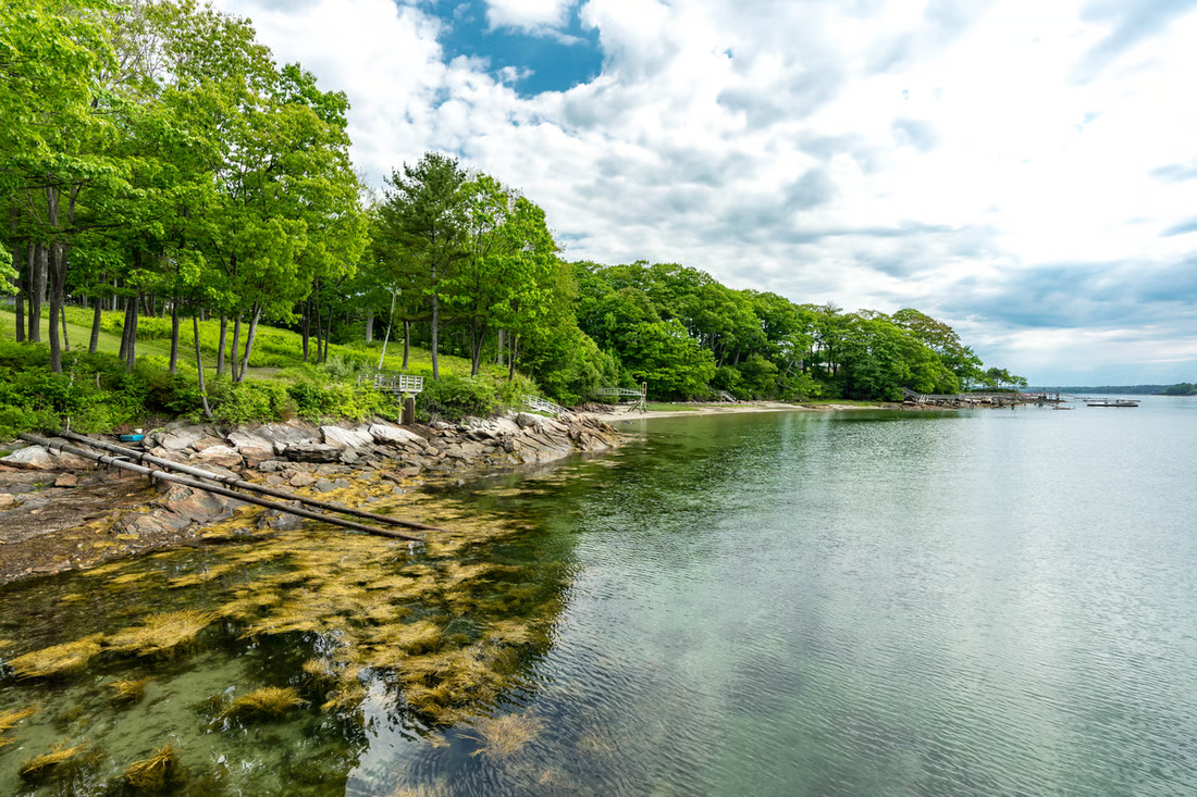 Top or Best Brand Identity Packages Agencies and Companies in Falmouth, Maine