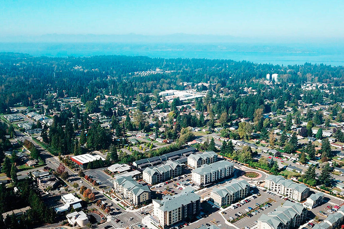 Top or Best Storyboards Agencies and Companies in Federal Way Washington