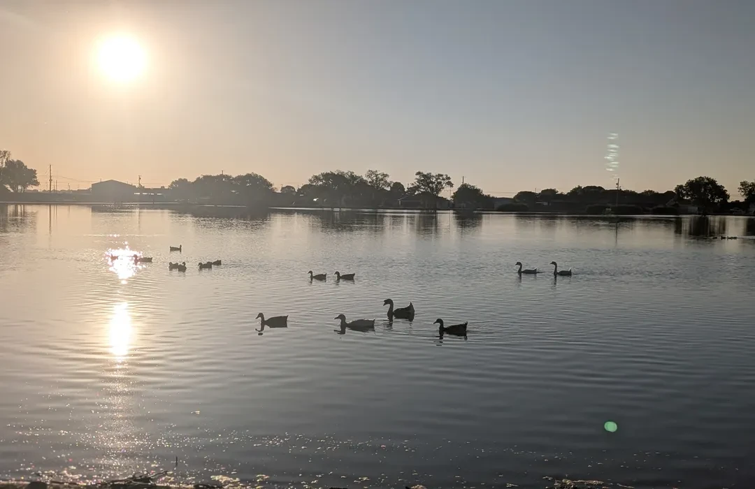 Top of Best Animation & Motion Graphics Agencies and Companies in Portales, New Mexico