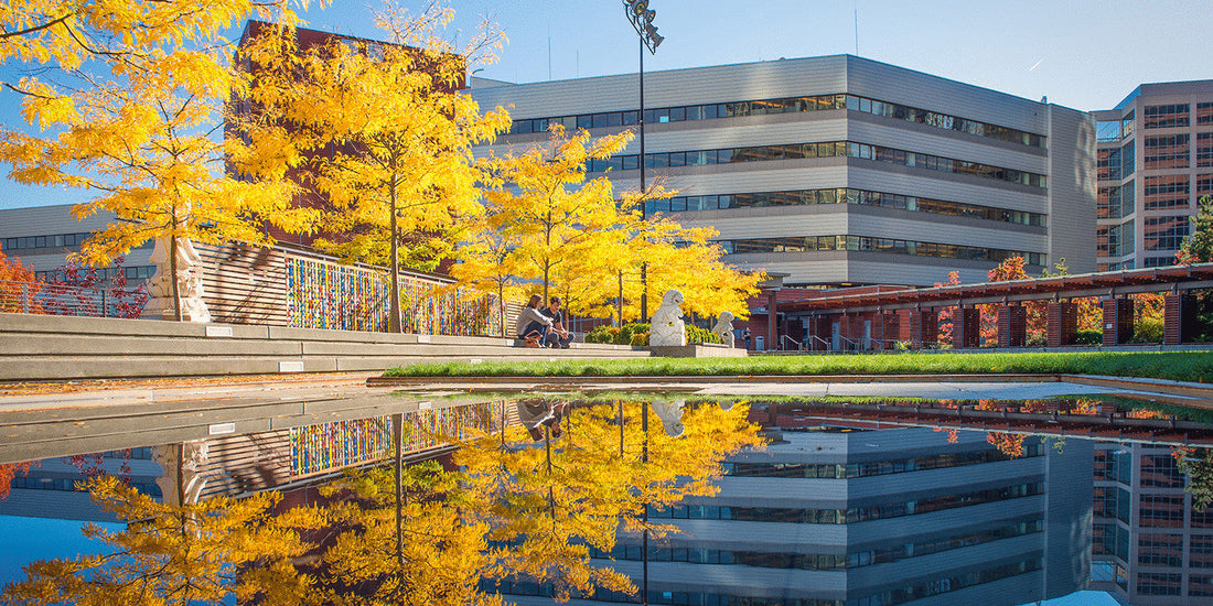 Top or Best Flyer Design Agencies and Companies in Bellevue, Washington