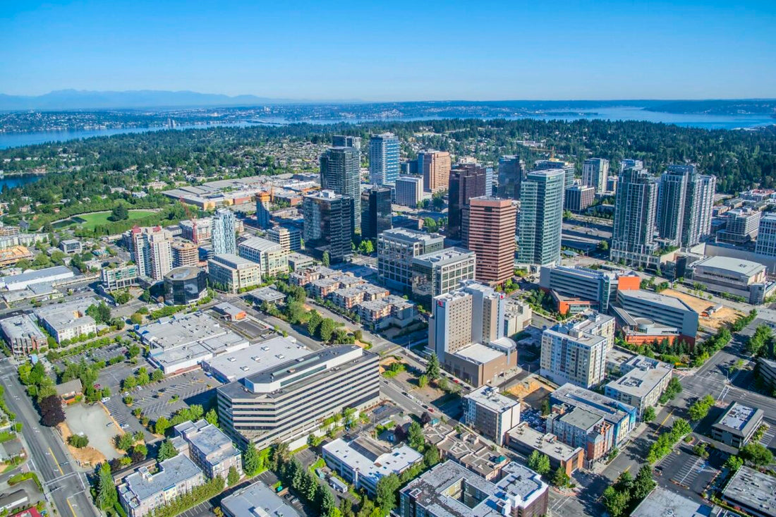 Top or Best App UI/UX Design Agencies and Companies in Bellevue Washington