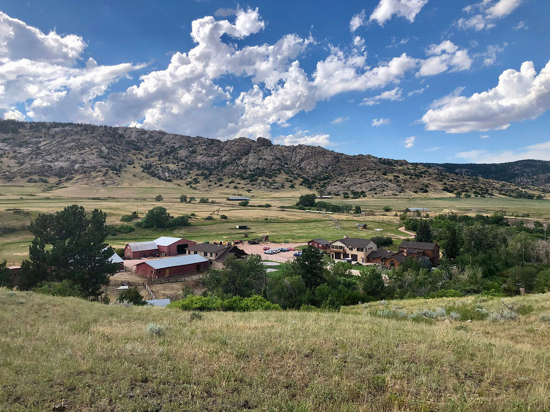 Top or Best Postcard Design Agencies and Companies in Douglas Wyoming