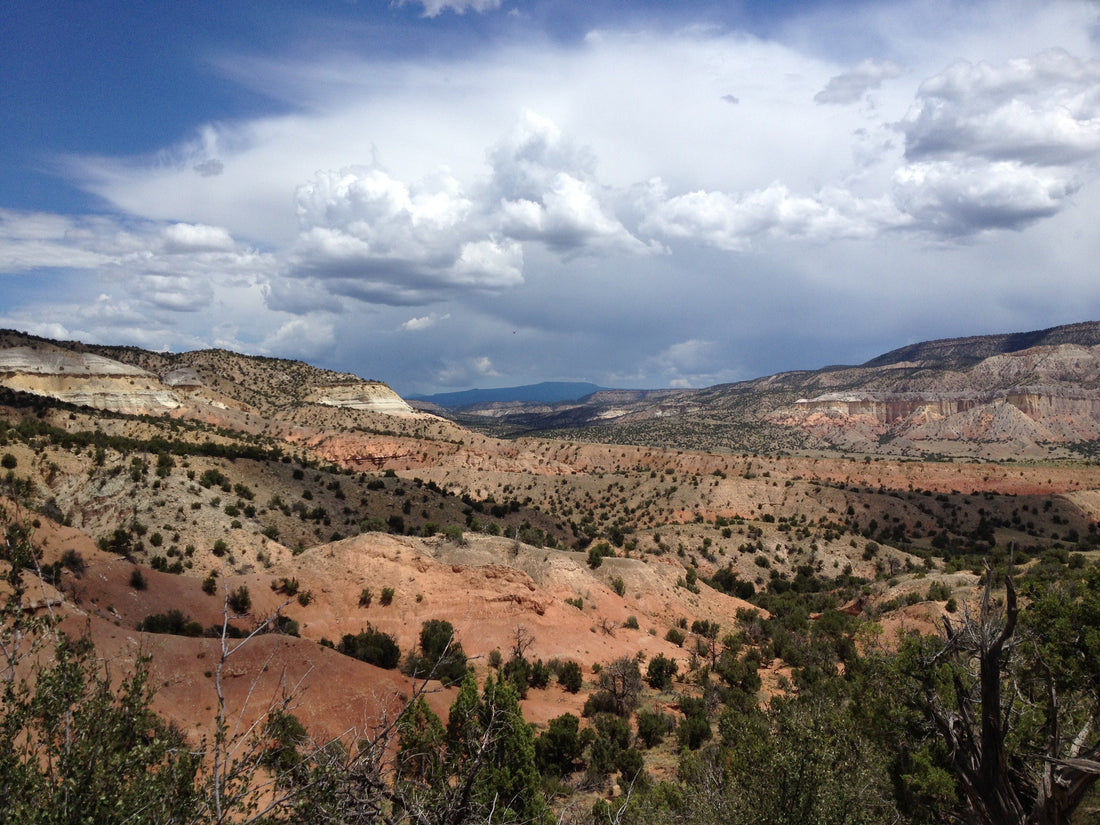 Top or Best NFT Art Agencies and Companies in Portales, New Mexico