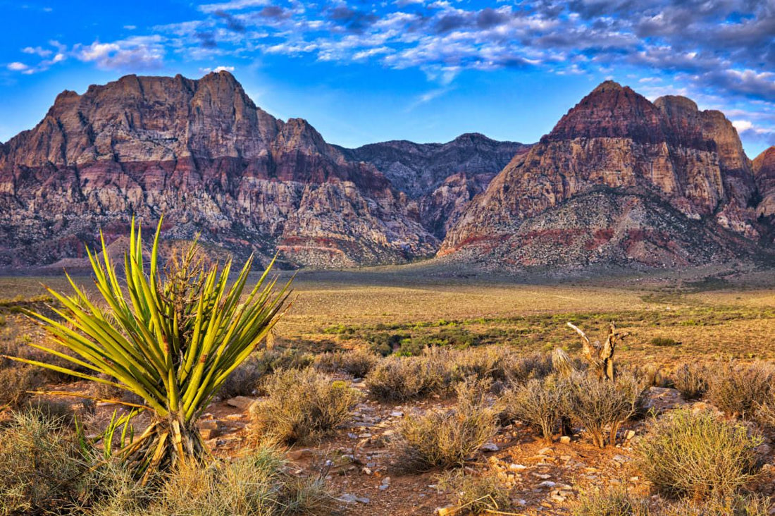 Top or Best Postcard Design Agencies and Companies in Artesia, New Mexico