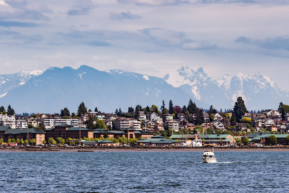 Top or Best Social Media Management Agencies and Companies in Everett Washington