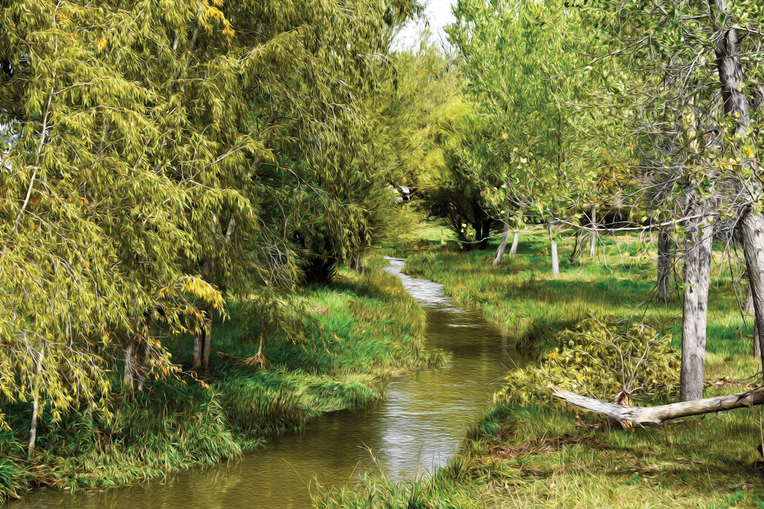 Top or Best Animation & Motion Graphics Agencies and Companies in Las Vegas, New Mexico