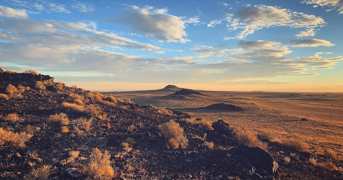 Top or Best Graphics for Streamers Agencies and Companies in Artesia, New Mexico