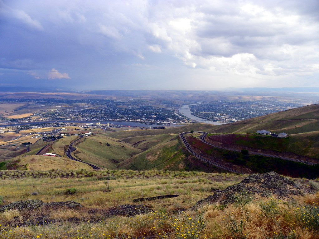 Top or Best TikTok Management Agencies and Companies in Lewiston, Idaho