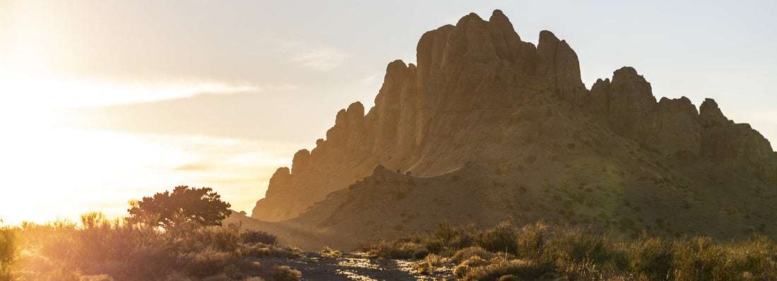 Top or Best Social Media Design Agencies and Companies in Deming, New Mexico