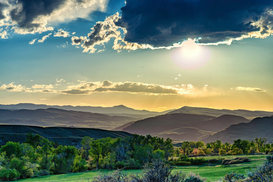 Top or Best Twitter Management Agencies and Companies in Douglas Wyoming