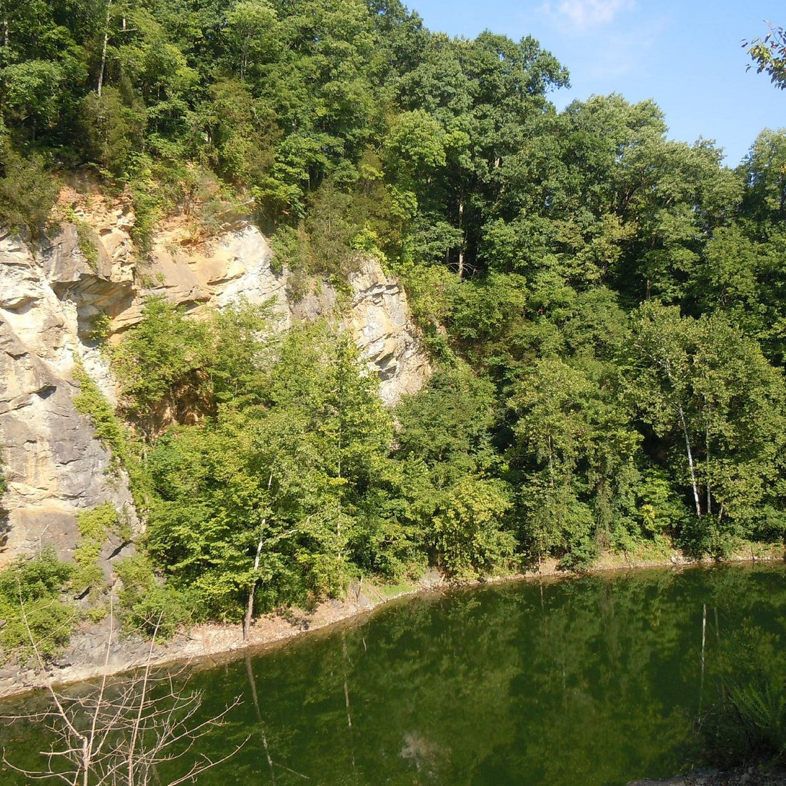 Top or Best Brochure Design Agencies and Companies in Johnson City, Tennessee