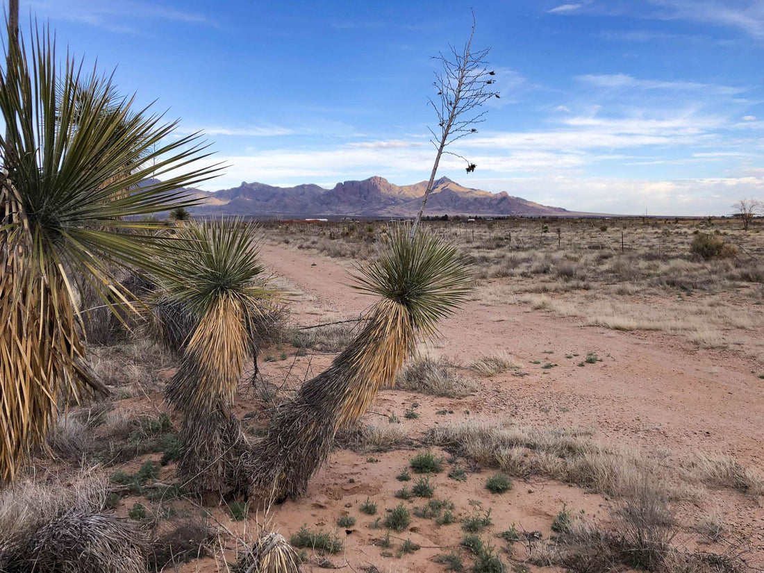 Top or Best AR Filters & Lenses Agencies and Companies in Deming, New Mexico