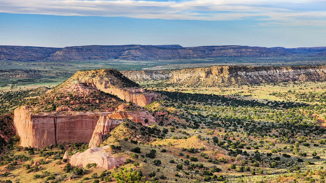 Top or Best Flyer Design Agencies and Companies in Gallup, New Mexico