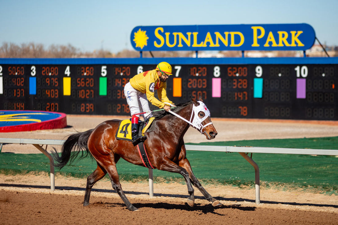 Top or Best Flyer Design Agencies and Companies in Sunland Park, New Mexico